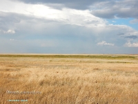 Озеро Жандыколь (Джандескуль). Август 2023 года