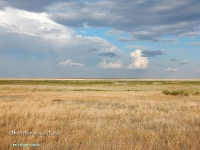 Озеро Жандыколь (Джандескуль). Август 2023 года