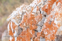 Мраморный утес. Июль 2012 года