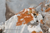 Мраморный утес. Июль 2012 года