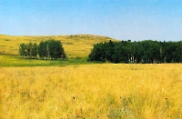 Гусихинский вулкан (Гора Средняя Гусиха)