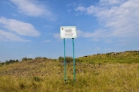 Ильменная Шишка