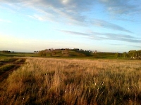 Винокурова Шишка