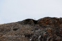 Урочище Крыкла. Ноябрь 2012 года