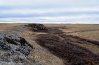 Урочище Крыкла. Ноябрь 2012 года