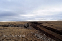 Урочище Крыкла. Ноябрь 2012 года