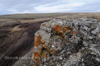 Урочище Крыкла. Ноябрь 2012 года