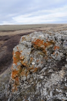 Урочище Крыкла. Ноябрь 2012 года