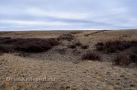 Урочище Крыкла. Ноябрь 2012 года