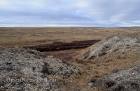 Урочище Крыкла. Ноябрь 2012 года