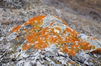 Урочище Крыкла. Ноябрь 2012 года