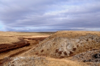 Урочище Крыкла. Ноябрь 2012 года