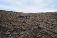 Урочище Крыкла. Ноябрь 2012 года