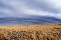 Урочище Крыкла. Ноябрь 2012 года