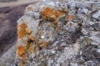 Урочище Крыкла. Ноябрь 2012 года