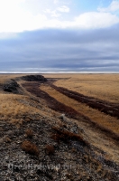 Урочище Крыкла. Ноябрь 2012 года