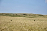 Гора (вулкан) Алабайтал