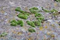 Байтукские каменные палатки. Ноябрь 2012 года