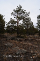 Байтукские каменные палатки. Ноябрь 2012 года