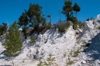 Разрез Болотовского маршаллитового карьера. Июль 2012 года