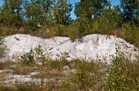 Разрез Болотовского маршаллитового карьера. Июль 2012 года