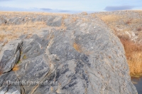 Мраморный плес реки Каменки (озеро Холодное). Ноябрь 2012 года