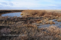 Мраморный плес реки Каменки (озеро Холодное). Ноябрь 2012 года