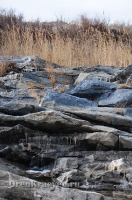 Мраморный плес реки Каменки (озеро Холодное). Ноябрь 2012 года