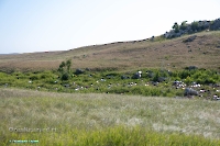 Гора-утес Аккарга. Июнь 2025 года