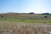 Гора-утес Аккарга. Июнь 2025 года