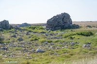 Гора-утес Аккарга. Июнь 2025 года