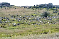 Гора-утес Аккарга. Июнь 2025 года