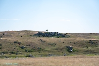 Гора-утес Аккарга. Июнь 2025 года