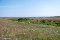 Гора-утес Аккарга. Июнь 2025 года