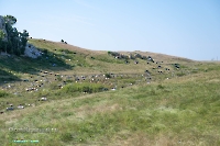 Гора-утес Аккарга. Июнь 2025 года