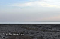 Озеро Шалкар-Ега-Кара. Май 2012 года