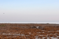 Озеро Шалкар-Ега-Кара. Май 2012 года