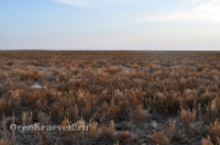 Озеро Шалкар-Ега-Кара. Май 2012 года