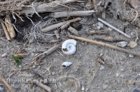 Озеро Шалкар-Ега-Кара. Май 2012 года