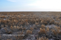 Озеро Шалкар-Ега-Кара. Май 2012 года