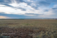 Озеро Шалкар-Ега-Кара. Июнь 2025 года