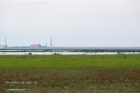 Озеро Шалкар-Ега-Кара. Июнь 2025 года