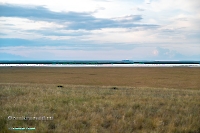 Озеро Шалкар-Ега-Кара. Июнь 2025 года