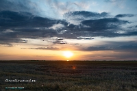 Озеро Шалкар-Ега-Кара. Июнь 2025 года