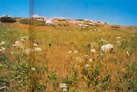 Урочище Косшока