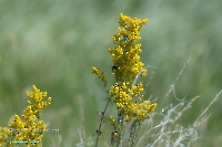 Озеро Карамола