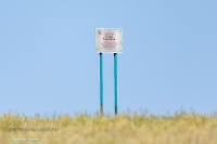 Озеро Карамола. Июнь 2025 года