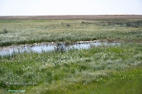 Озеро Карамола. Июнь 2025 года