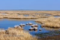 Озеро Жетыколь. Май 2012 года