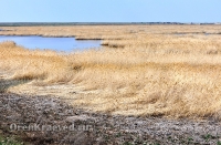 Озеро Жетыколь. Май 2012 года